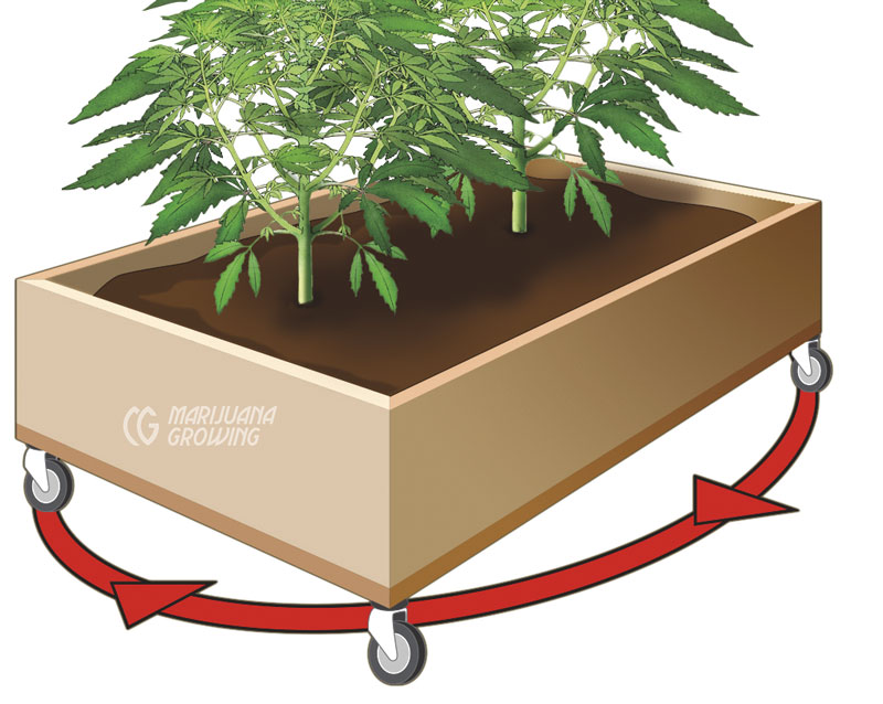 0-me-ch-17-80_rotatingplants