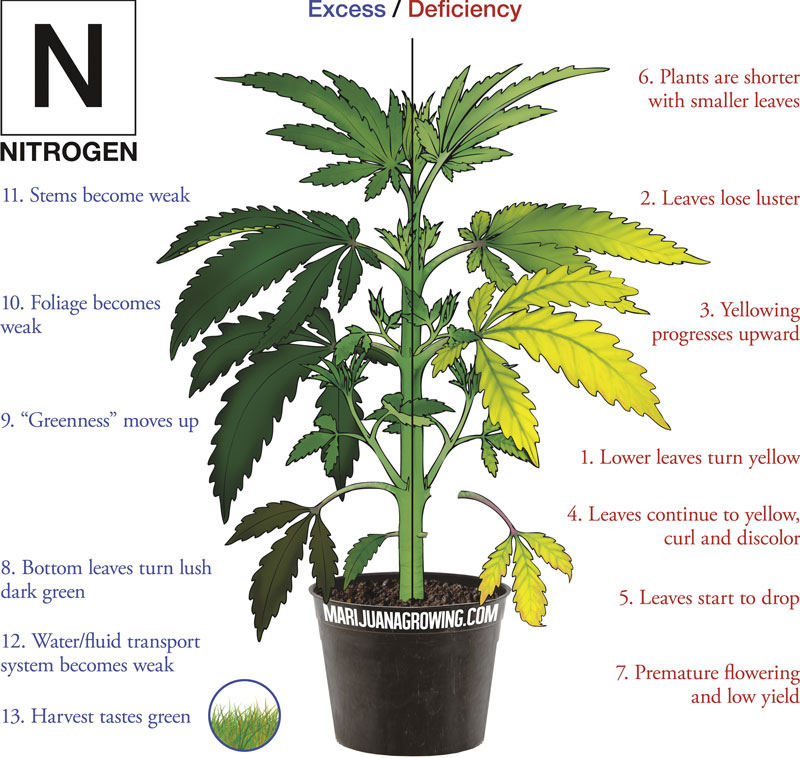 0-me-ch-21-nitrogen-800x600-1