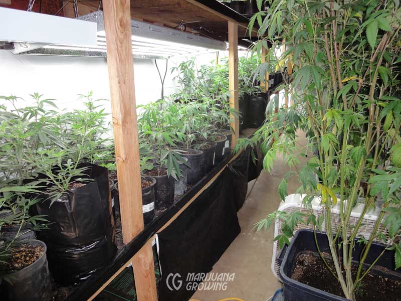 ce-ch-04-12a-dsc02212-800x600-1