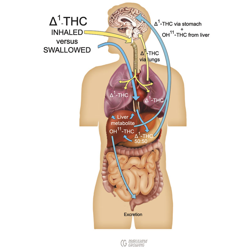 me-ch-01-29_canpathways