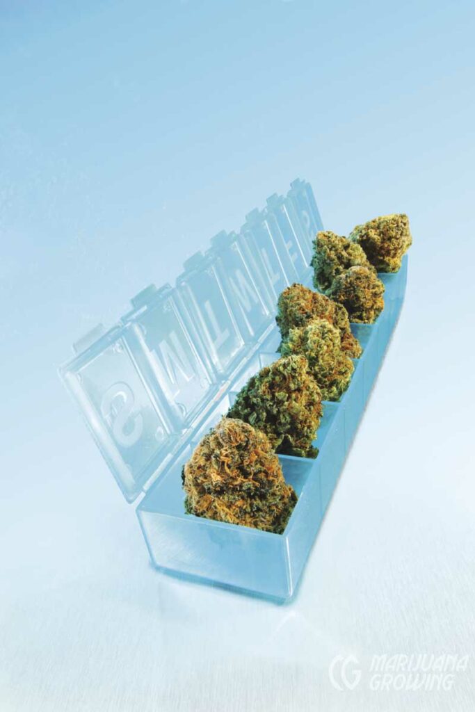 me-ch-01-lf_pill_container-800x1200-1-683x1024-1-1