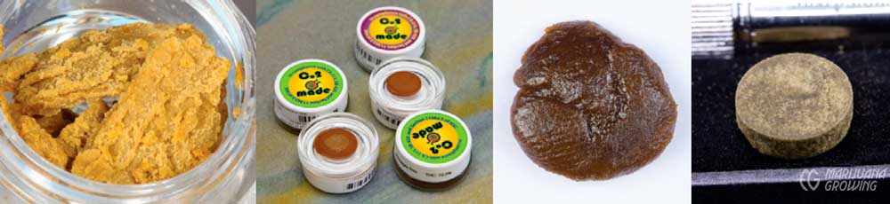 me-ch-02-concentrates-1000x230-1