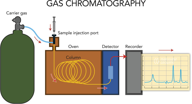 me-ch-02-gas-chromatography-en