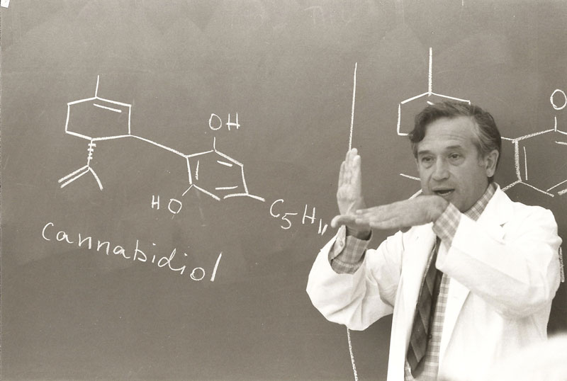 me-ch-02-mechoulam-800x538-1 Measuring cannabinoids