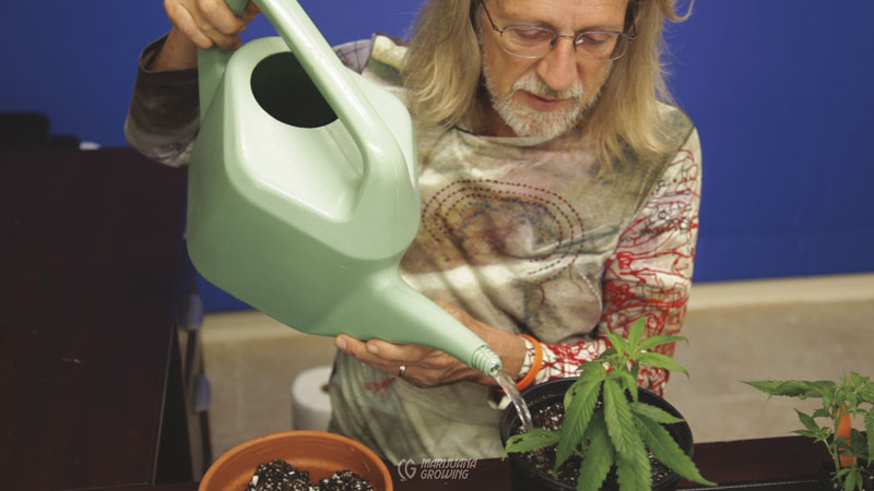 me-ch-06-01-transplanting-11-800x450