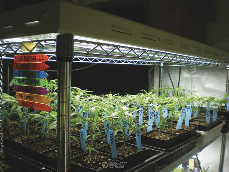 me-ch-07-clone-2010_0309-800x600-2