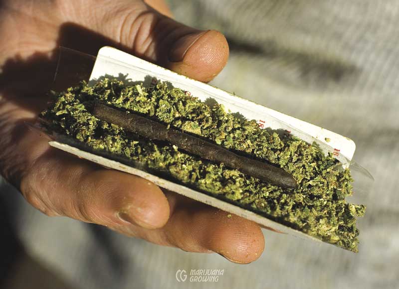 me-ch-08-lf_hash_joint-800x580-1