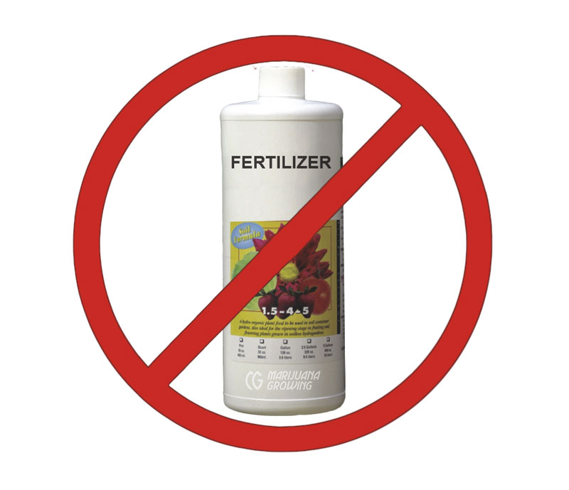 me-ch-09-16_fertilizer-800x669-1