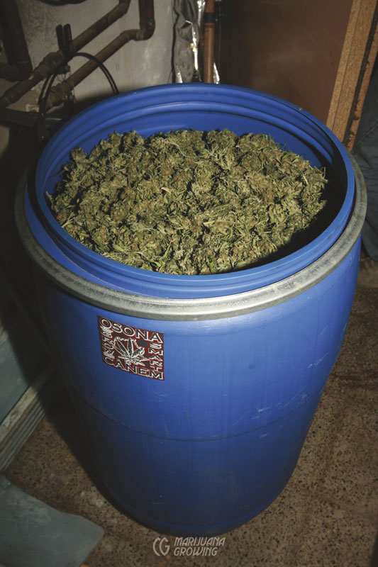 me-ch-09-barrel-bud-img_3796-533x800-1