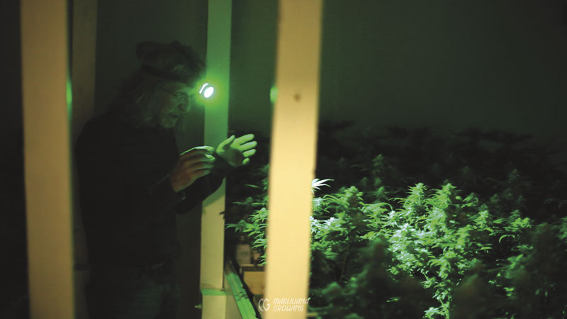 me-ch-09-green-headlight-800x450-1