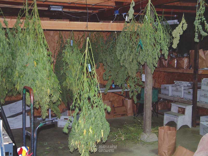 me-ch-09-harvest-dscf0229-800x600-1
