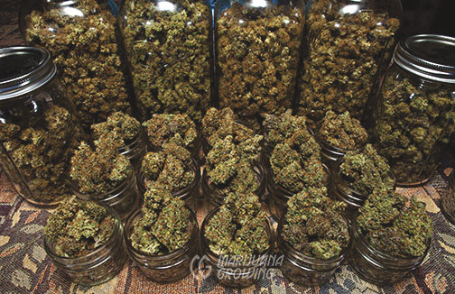 me-ch-09-lf_black_shaman_stash
