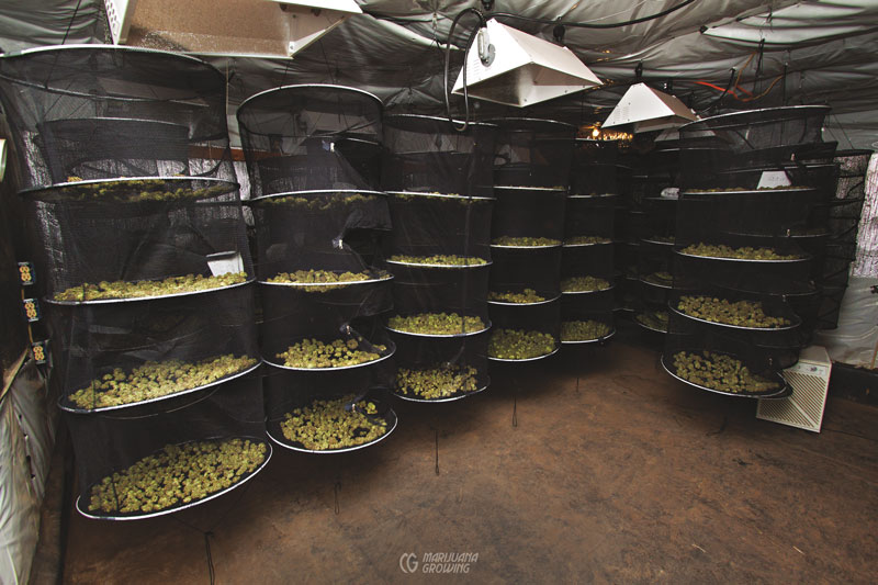 me-ch-09-lf_drying_baskets-800x533-1