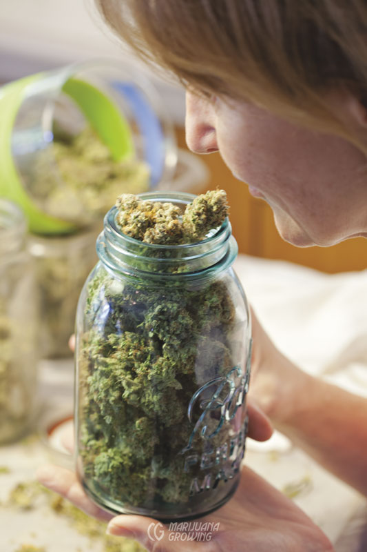 me-ch-09-lf_jar_sniff_9851-533x800-1