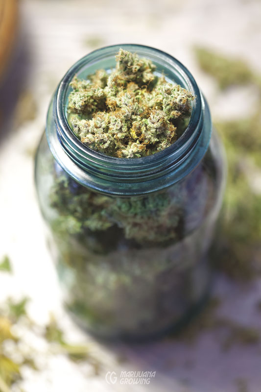 me-ch-09-lf_packed_jar_2_9836-533x800-1