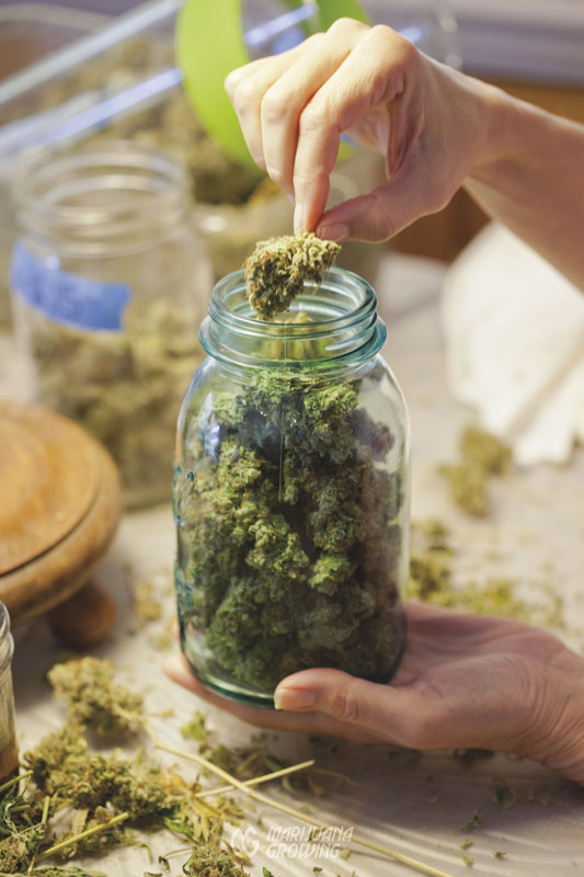 me-ch-09-lf_packing_jar_9834-533x800-1