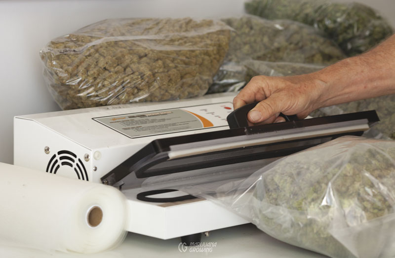 me-ch-09-lf_seal_a_meal_9673-800x524-1