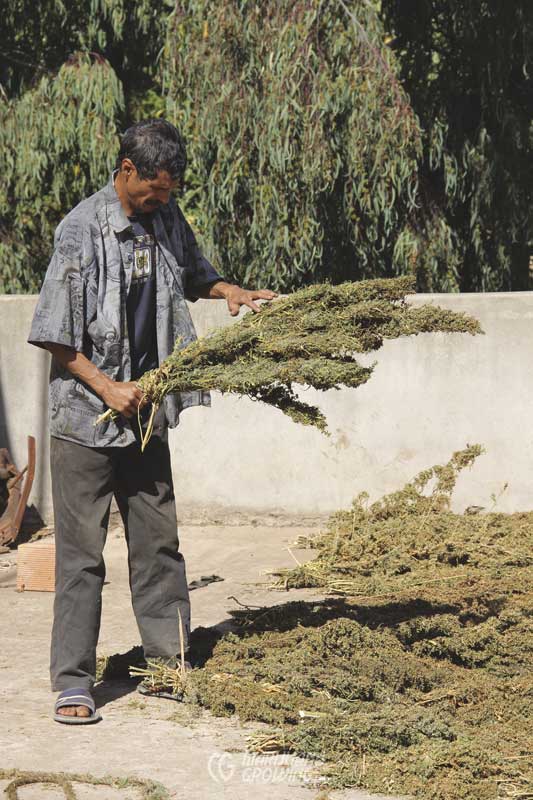 me-ch-09-morocco-drying-img_0694-533x800-1
