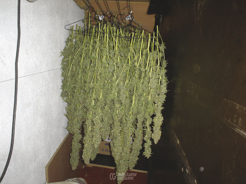 me-ch-09-powerplant-047-800x600-1