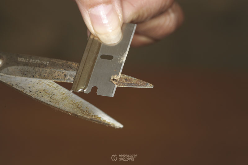 me-ch-09-resin-scissors-img_4865-800x533-1