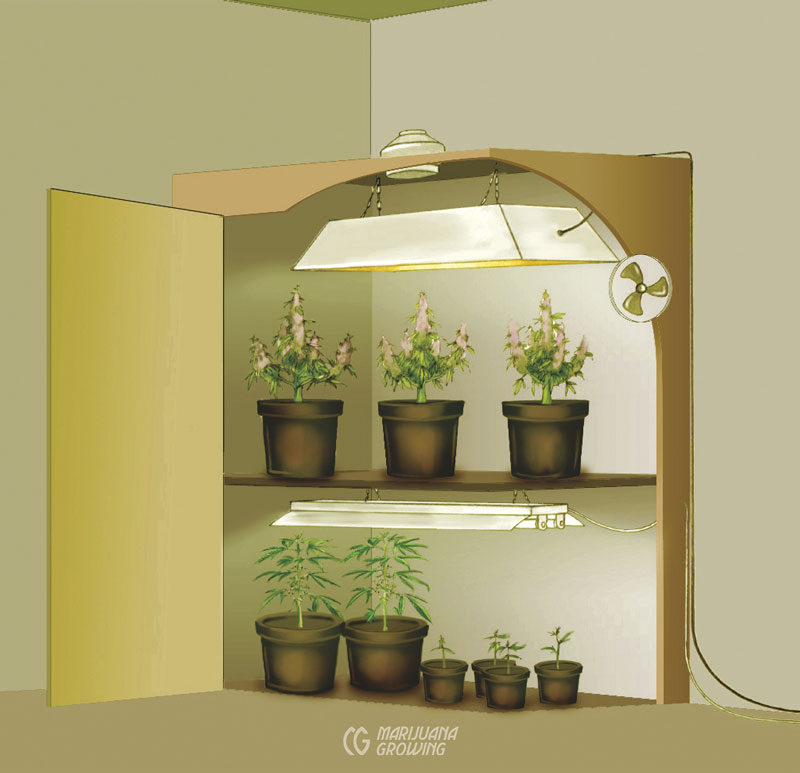 me-ch-10-55_closetgrow-800x773-1