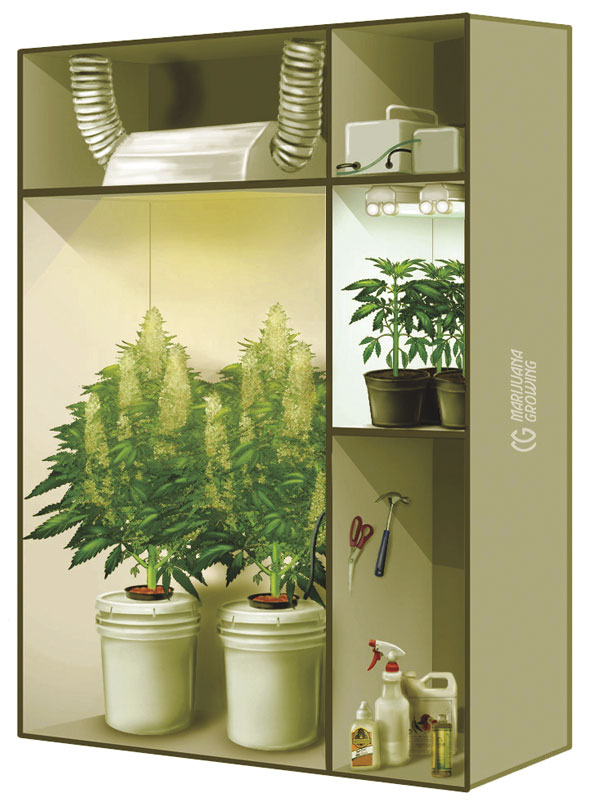 me-ch-10-57_closetgarden-597x800-1