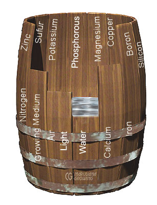 me-ch-10-barrel-text-layers-en