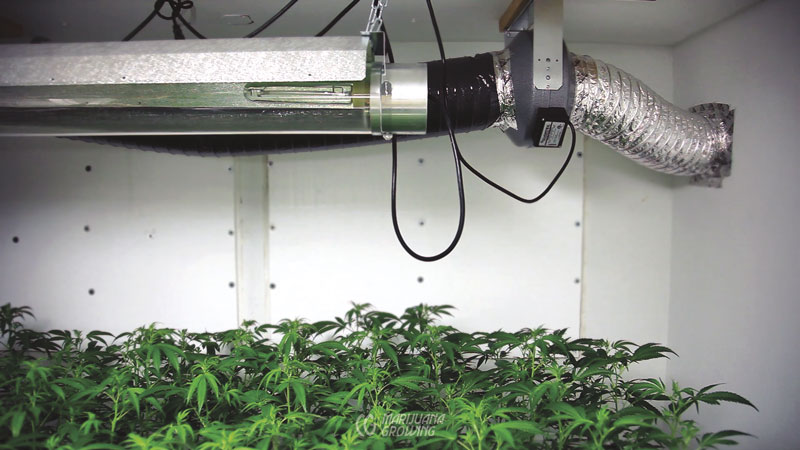 me-ch-10-lamp-ventilation-01-800x450-1