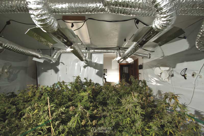 me-ch-10-lf_ducting_lf_aerogrdn_54-800x533-1