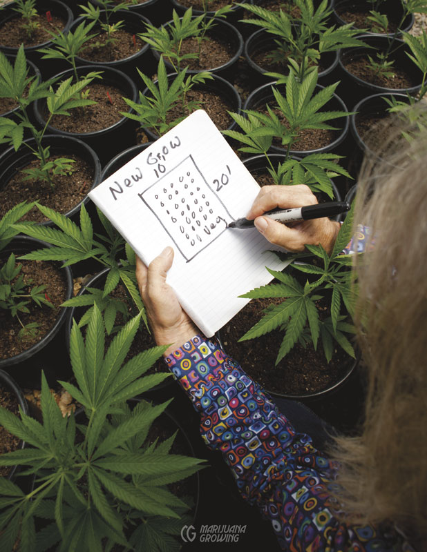 me-ch-10-lf_jorge_grow_plan_9583-618x800-1