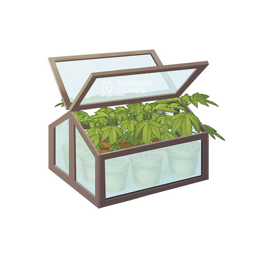 me-ch-11-10_boxgreenhouse_flat