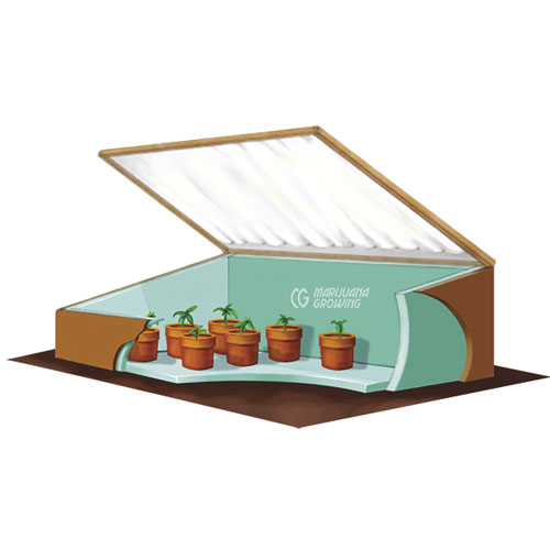 me-ch-11-36_greenhouse-copy