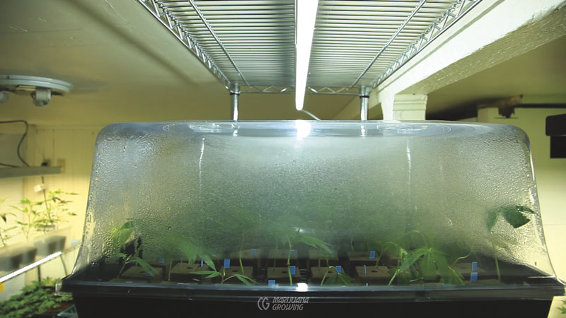 me-ch-11-condensation-01-800x450-1