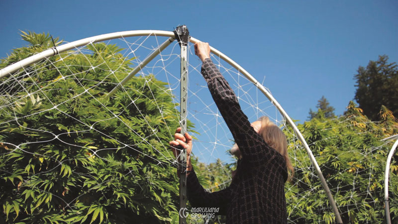 me-ch-11-hoop-make-02-800x450-1