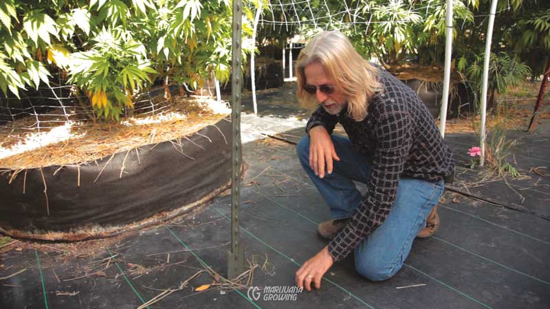 me-ch-11-weed-barrier-800x450-1