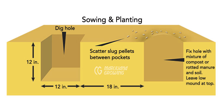 me-ch-12-31_planting-copy-en