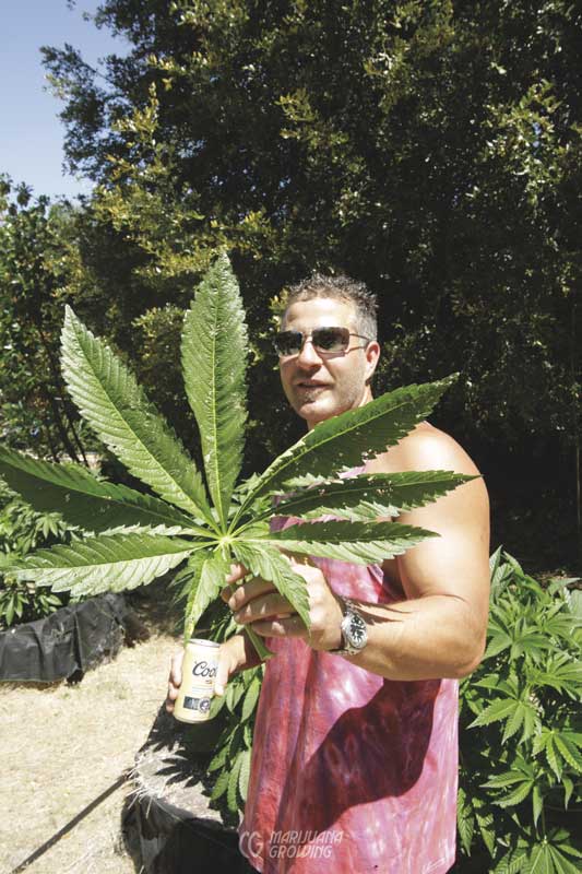 me-ch-12-big-leaf_mg_3629-533x800-1