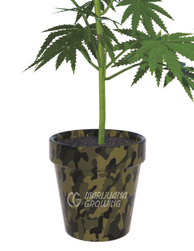 me-ch-12-camouflagecontainer-1