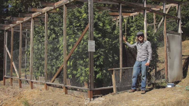 me-ch-12-greenhouse-no-plastic-800x450-1