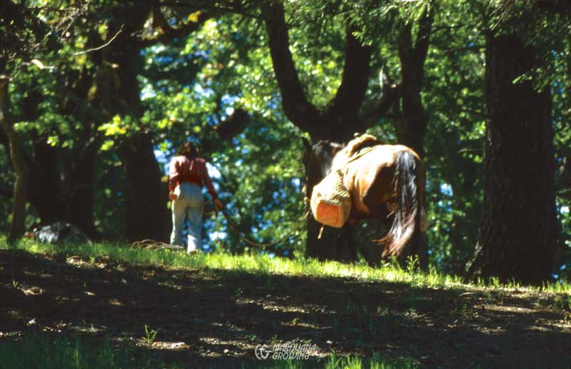 me-ch-12-jim-1979-sonoma-ca-800x517-1