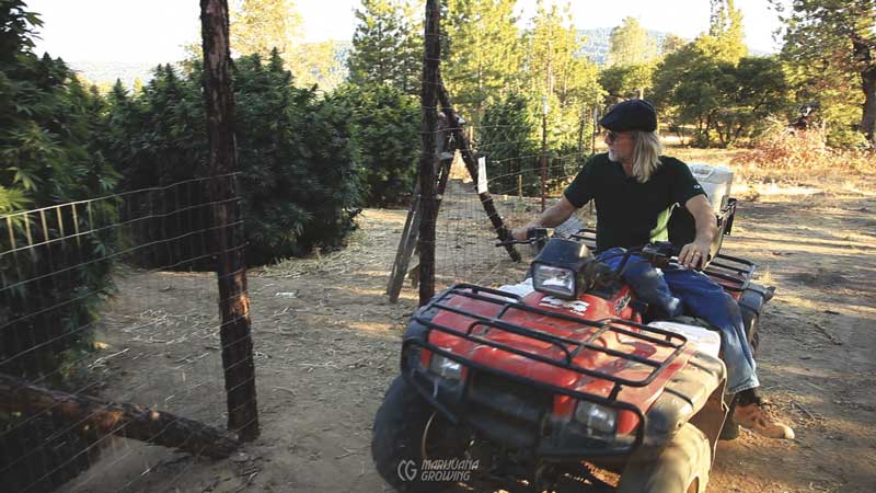 me-ch-12-jorge-on-atv-01-800x450-1