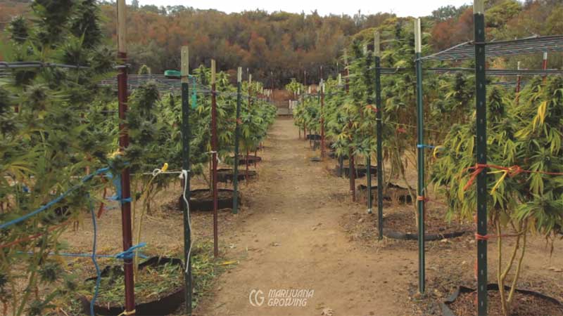 me-ch-12-pots-richard-800x450