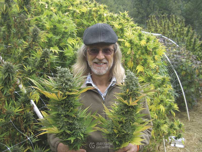 me-ch-13-04-10-21-10-img_7418-800x600-1 advanced outdoor growing techniques