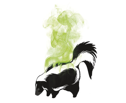 me-ch-13-37_skunk