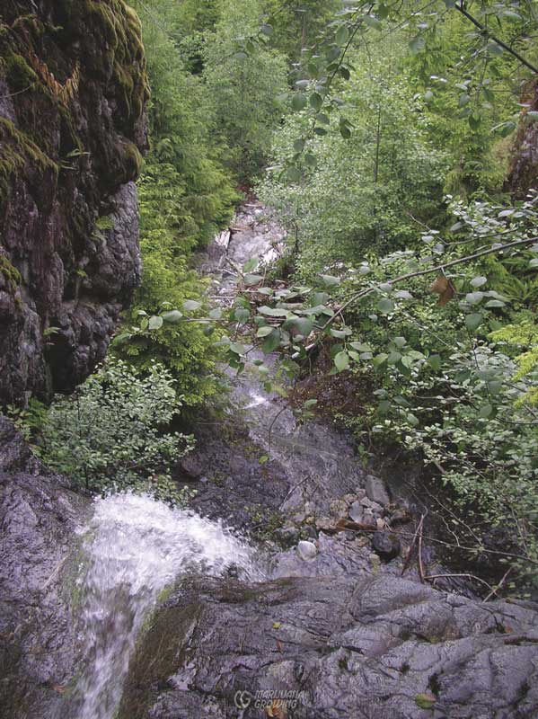 me-ch-14-path-imgp3863