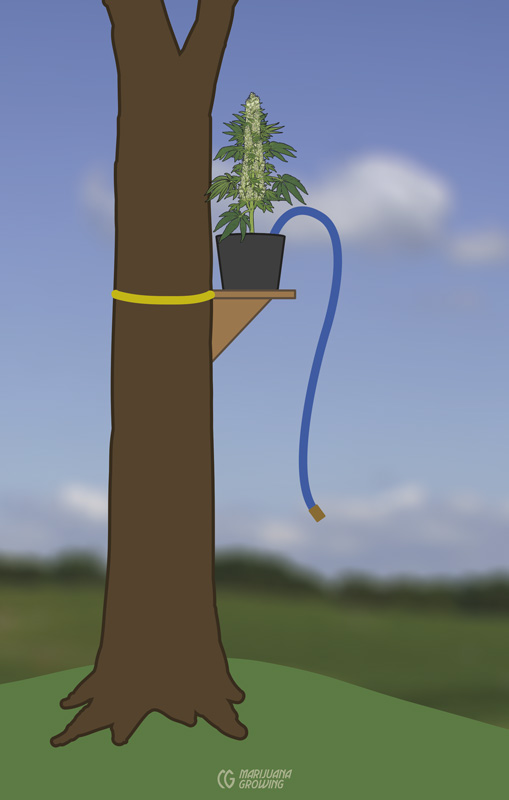 me-ch-14-plantontree