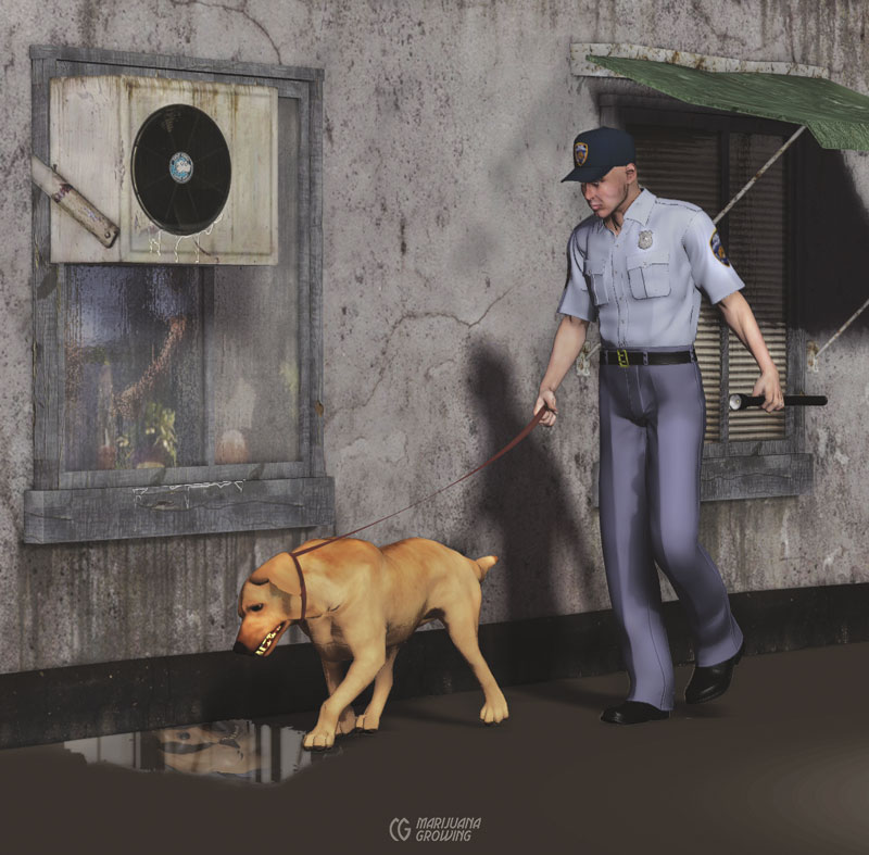 me-ch-14-renderpolicanddog