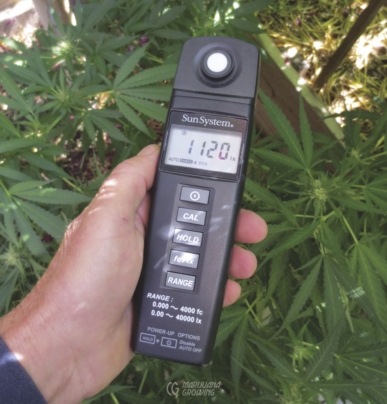 me-ch-15-light-meter-img_3272