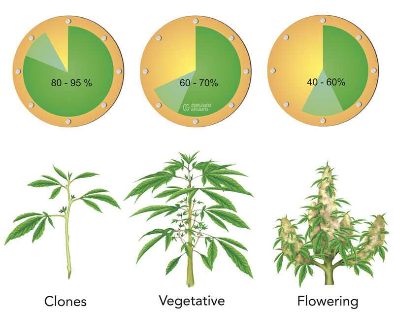 me-ch-16-18_plantstages-3-text-layers