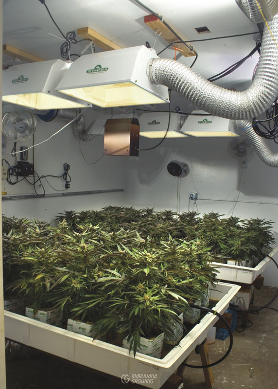 me-ch-16-lf_growroom